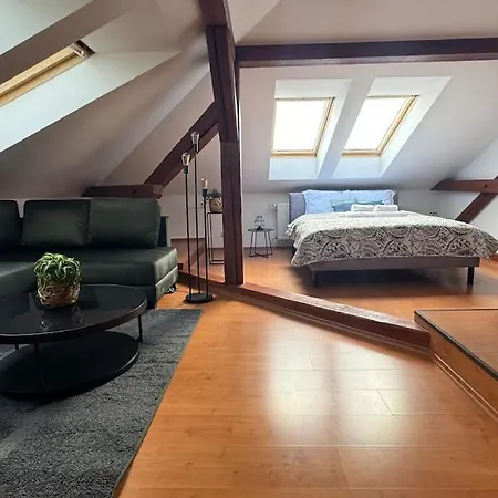 Kollarova Apartment Ostrawa Zewnętrze zdjęcie