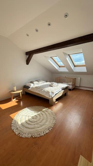 Kollarova Apartment *